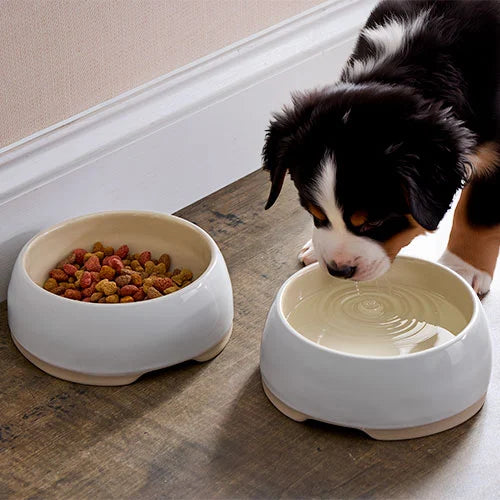 Stone Pet Bowl Set